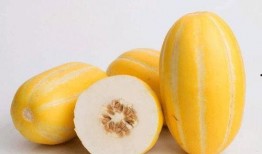 吃瓜居然吃到自己身上